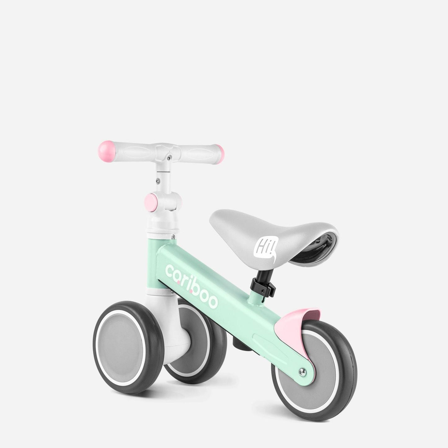 Cariboo Friends (mint)