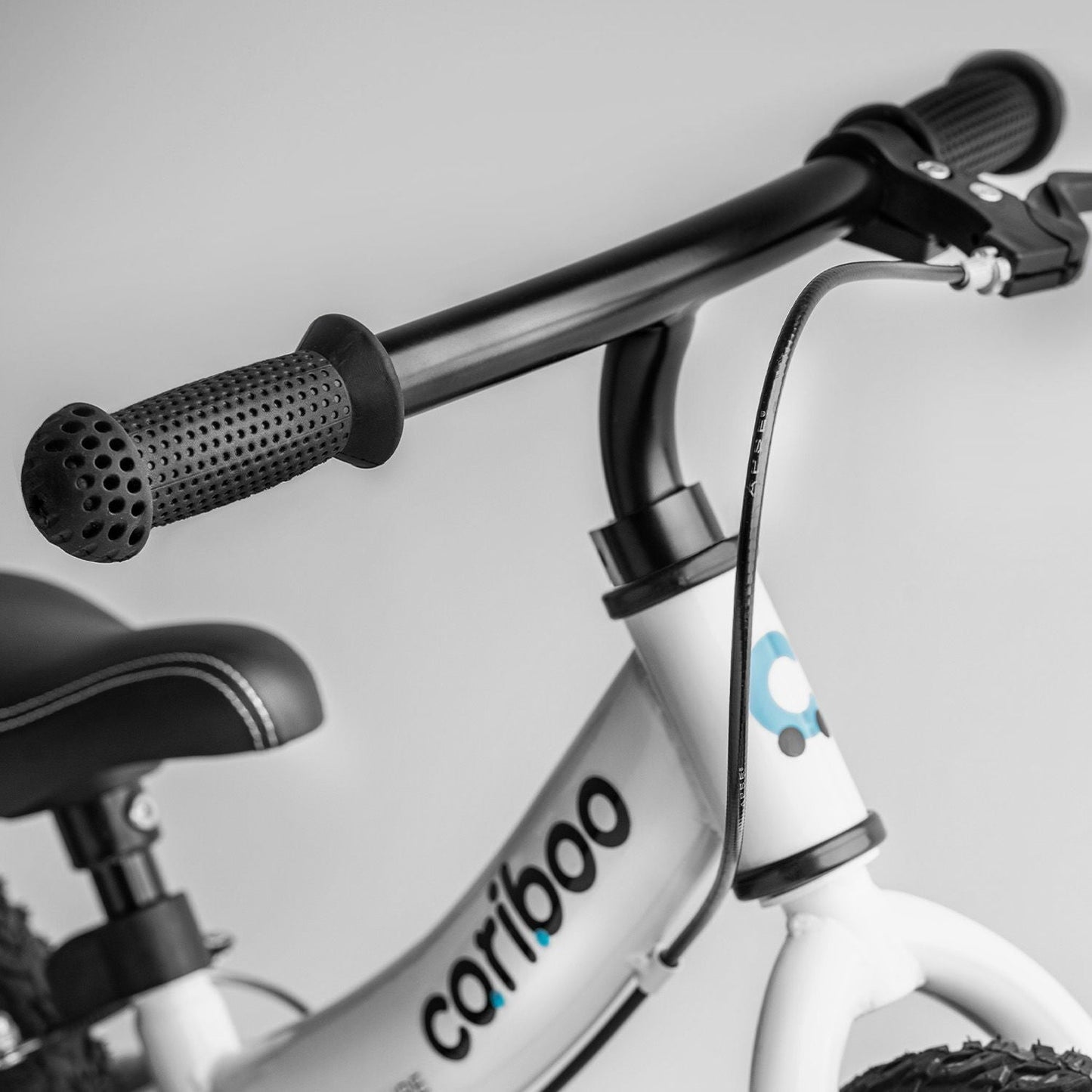 Cariboo Adventure (azul)