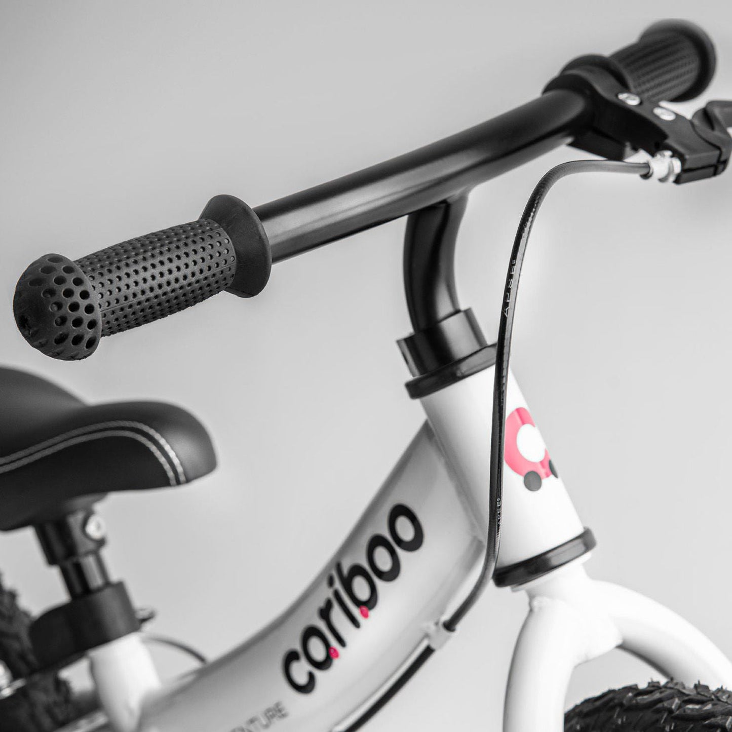 Cariboo Adventure (pink)