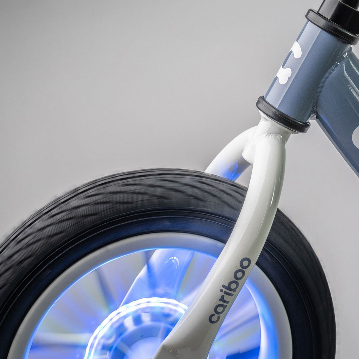 Cariboo Ledventure (azul-marrón)